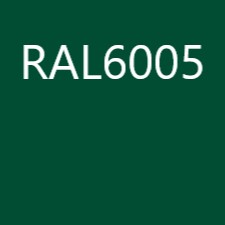 Einzeltore moosgrün (RAL6005)