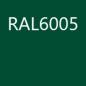 Preview: RAL6005