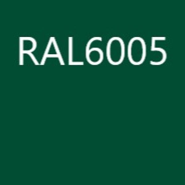RAL6005